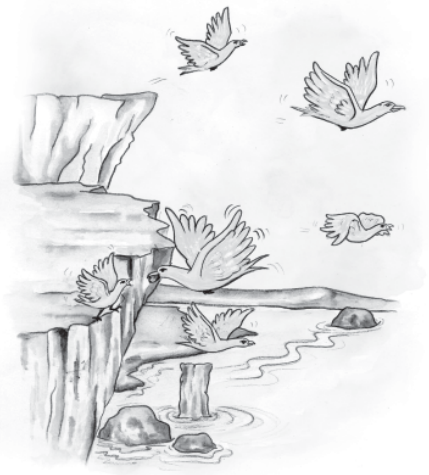 Gulls by Sibsy on DeviantArt | Seagull illustration, Cartoon character  design, Bird drawings